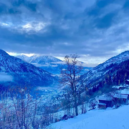 Castanea Viva * Mörel