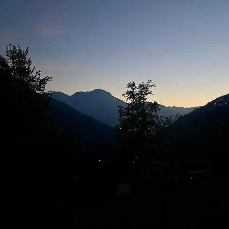 Castanea Viva * Mörel